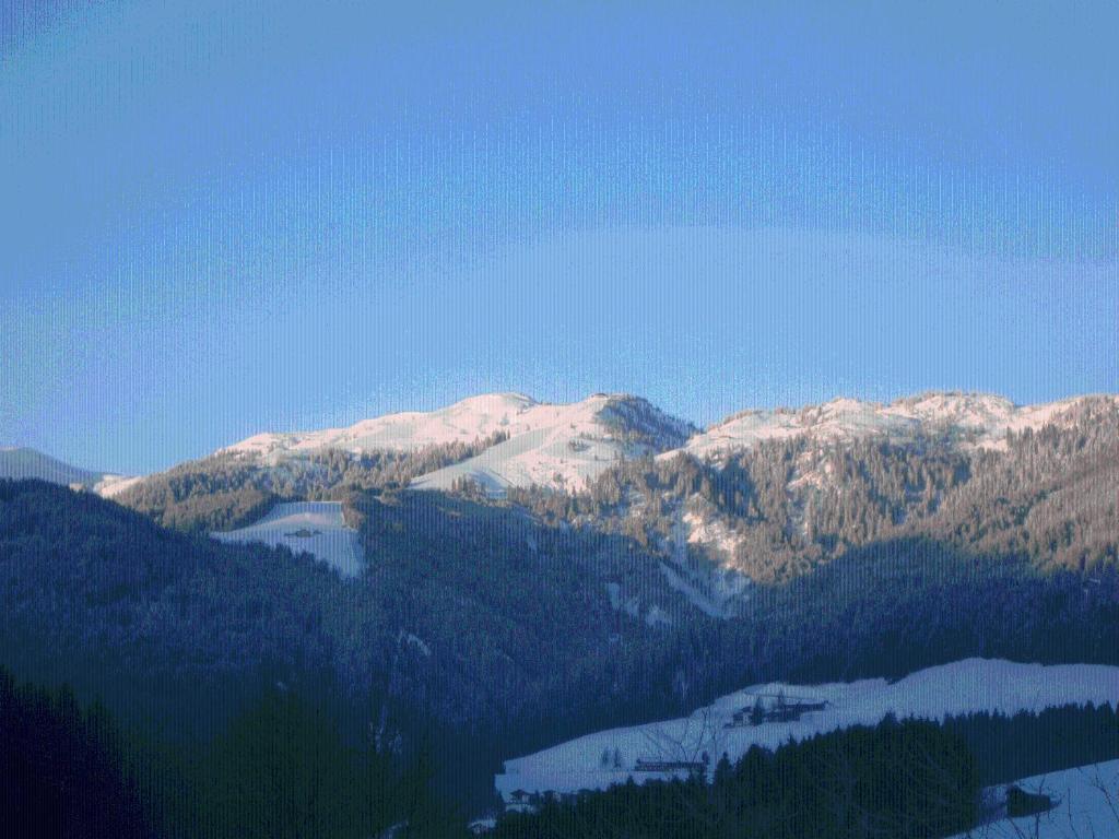 Landgasthof Dorferwirt Oberau Kültér fotó