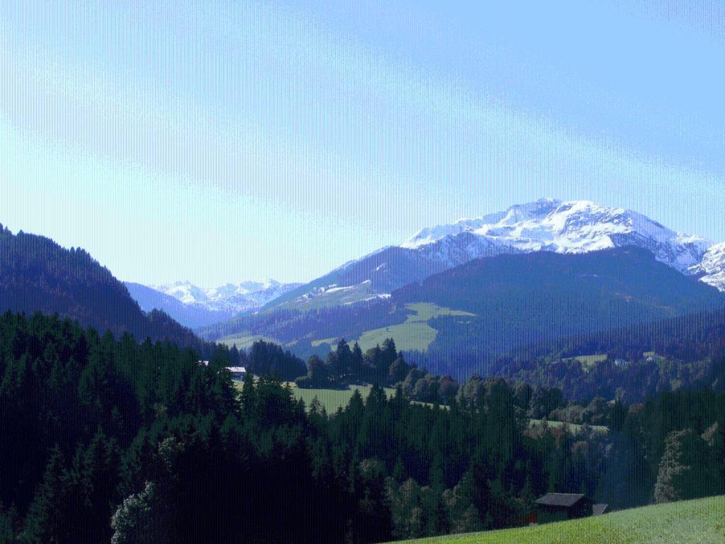 Landgasthof Dorferwirt Oberau Kültér fotó