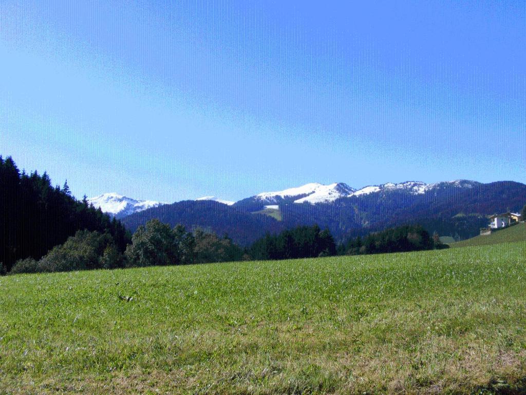 Landgasthof Dorferwirt Oberau Szoba fotó